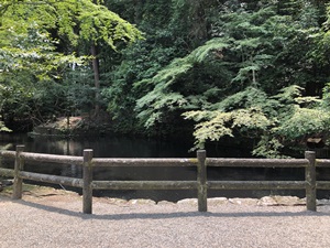 ご神鶏がお出迎えしてくれる神社をレポート【石上（いそのかみ）神宮】 御朱印や駐車場は？