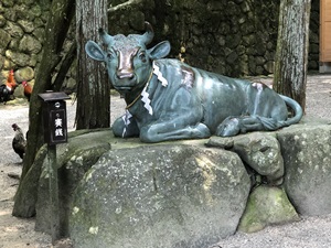 ご神鶏がお出迎えしてくれる神社をレポート【石上（いそのかみ）神宮】 御朱印や駐車場は？