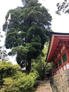 ご神鶏がお出迎えしてくれる神社をレポート【石上（いそのかみ）神宮】 御朱印や駐車場は？