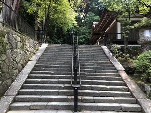 ご神鶏がお出迎えしてくれる神社をレポート【石上（いそのかみ）神宮】 御朱印や駐車場は？