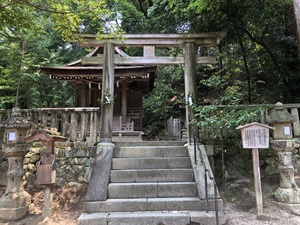 ご神鶏がお出迎えしてくれる神社をレポート【石上（いそのかみ）神宮】 御朱印や駐車場は？