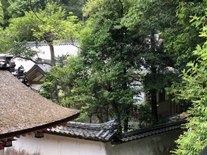 ご神鶏がお出迎えしてくれる神社をレポート【石上（いそのかみ）神宮】 御朱印や駐車場は？