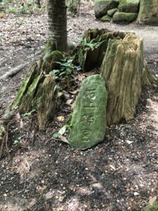 ご神鶏がお出迎えしてくれる神社をレポート【石上（いそのかみ）神宮】 御朱印や駐車場は？