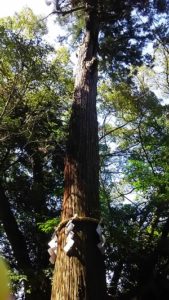 ご神鶏がお出迎えしてくれる神社をレポート【石上（いそのかみ）神宮】 御朱印や駐車場は？