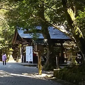 ご神鶏がお出迎えしてくれる神社をレポート【石上（いそのかみ）神宮】 御朱印や駐車場は？