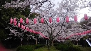 ご神鶏がお出迎えしてくれる神社をレポート【石上（いそのかみ）神宮】 御朱印や駐車場は？