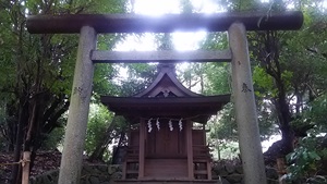 ご神鶏がお出迎えしてくれる神社をレポート【石上（いそのかみ）神宮】 御朱印や駐車場は？