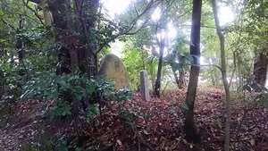 ご神鶏がお出迎えしてくれる神社をレポート【石上（いそのかみ）神宮】 御朱印や駐車場は？