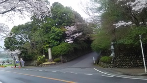 ご神鶏がお出迎えしてくれる神社をレポート【石上（いそのかみ）神宮】 御朱印や駐車場は？