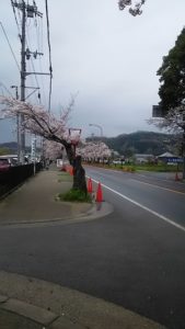 ご神鶏がお出迎えしてくれる神社をレポート【石上（いそのかみ）神宮】 御朱印や駐車場は？