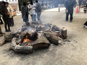 ご神鶏がお出迎えしてくれる神社をレポート【石上（いそのかみ）神宮】 御朱印や駐車場は？