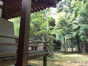 ご神鶏がお出迎えしてくれる神社をレポート【石上（いそのかみ）神宮】 御朱印や駐車場は？