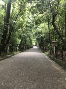 パワースポットで有名な神社をレポート【大神（おおみわ）神社】御朱印や駐車場は？