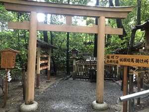 パワースポットで有名な神社をレポート【大神（おおみわ）神社】御朱印や駐車場は？