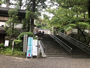 パワースポットで有名な神社をレポート【大神（おおみわ）神社】御朱印や駐車場は？