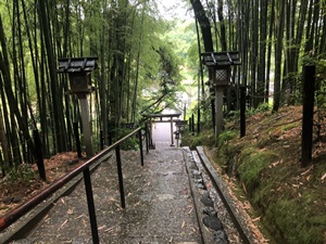 パワースポットで有名な神社をレポート【大神（おおみわ）神社】御朱印や駐車場は？