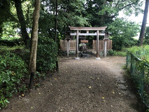 パワースポットで有名な神社をレポート【大神（おおみわ）神社】御朱印や駐車場は？